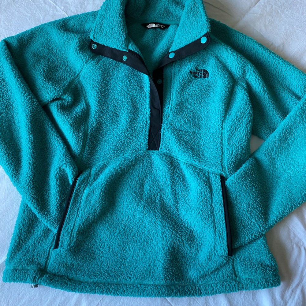 The north face jacket